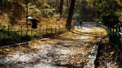 У Києві сухо, але прохолодно: чи потішить сонце мешканців на вихідних?