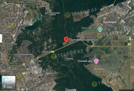 Птицефабрика "Киевская", скриншот googlemaps